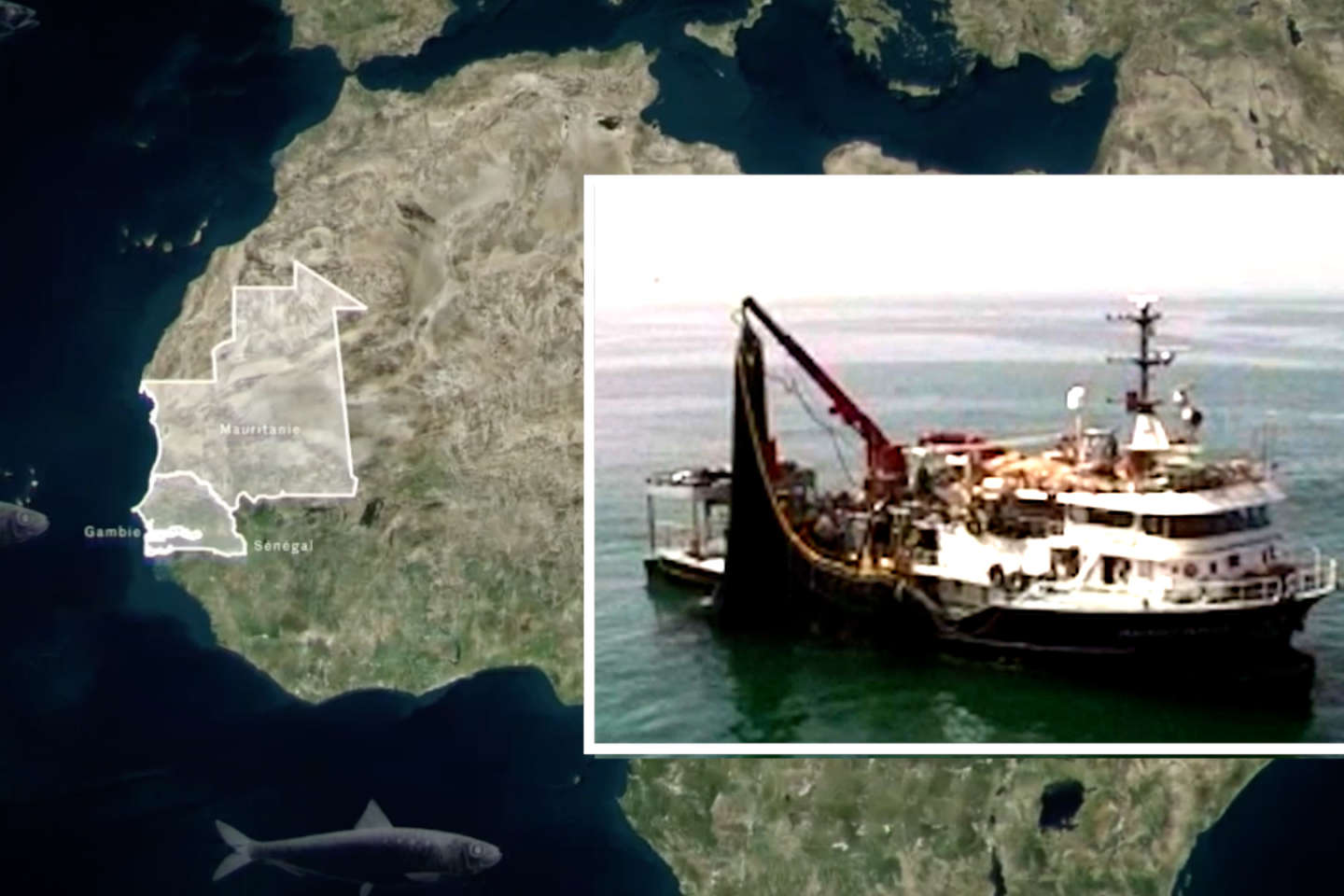 Pillés par des bateaux étrangers, les poissons africains deviennent trop chers pour les Sénégalais - Enquête