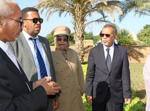 Ministre de l’Agriculture : Atteindre l’autosuffisance alimentaire est possible