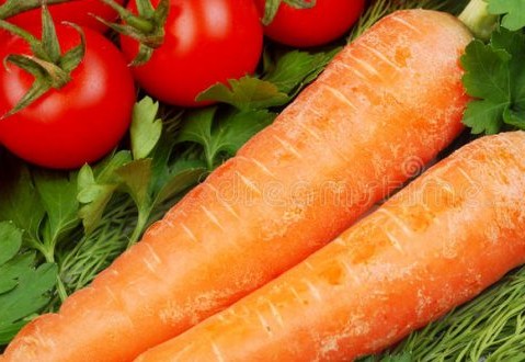 Maroc–Mauritanie : la coopération agricole se renforce avec de nouvelles perspectives d’échanges et d’investissements