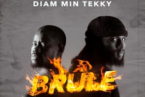 Les Diam Min Tekky Brûlent le nouveau drapeau mauritanien