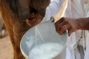 Plus d’une quarantaine de personnes victimes d’intoxication alimentaire à Néma