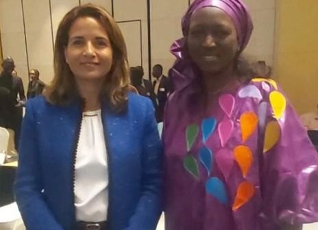 Appréciable contribution aux travaux de la 19eme CMAE des ministres mauritanien et marocain de l’environnement