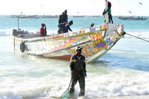 Le Japon débloque 12 millions de dollars pour appuyer la pêche en Mauritanie