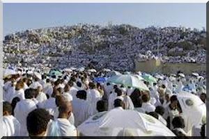 Pèlerinage 2014 : La souffrance continue