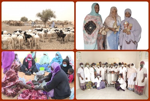 Ministère de l’Élevage : financement à coûts partagés de 20 sous projets innovants dans les chaînes de valeur du bétail