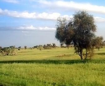 Préserver l’environnement en s’appuyant sur les Comités villageois de vigilance