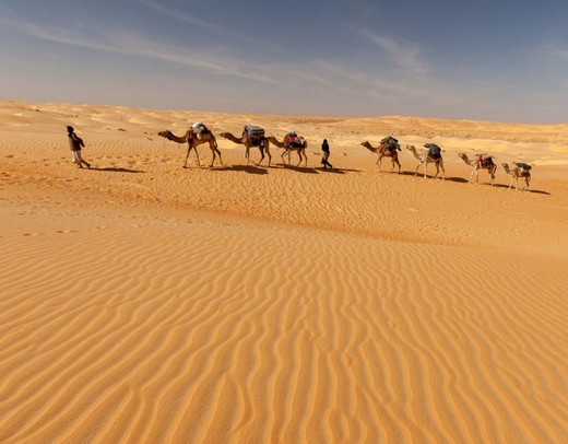 La Mauritanie lance son visa électronique